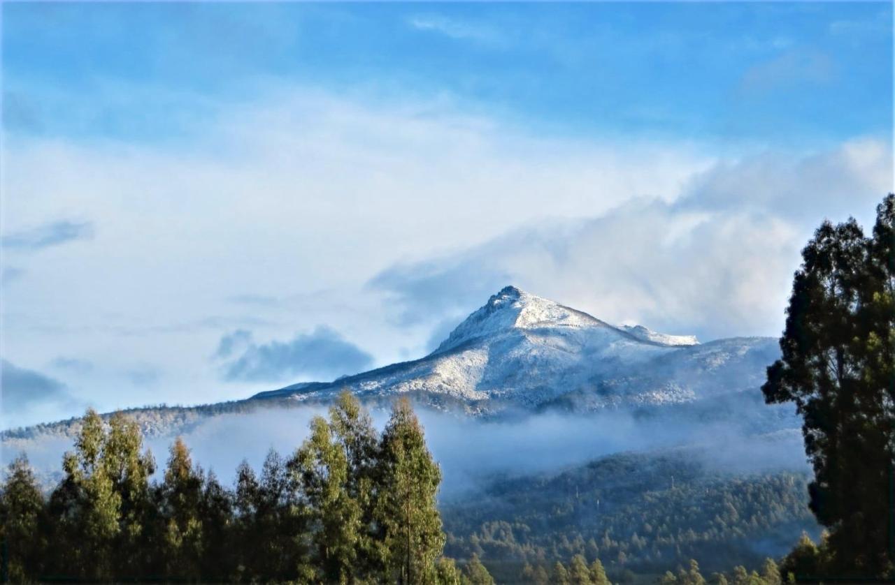 Maydena Mountain Cabins Ngoại thất bức ảnh