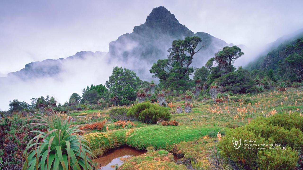 Maydena Mountain Cabins Ngoại thất bức ảnh