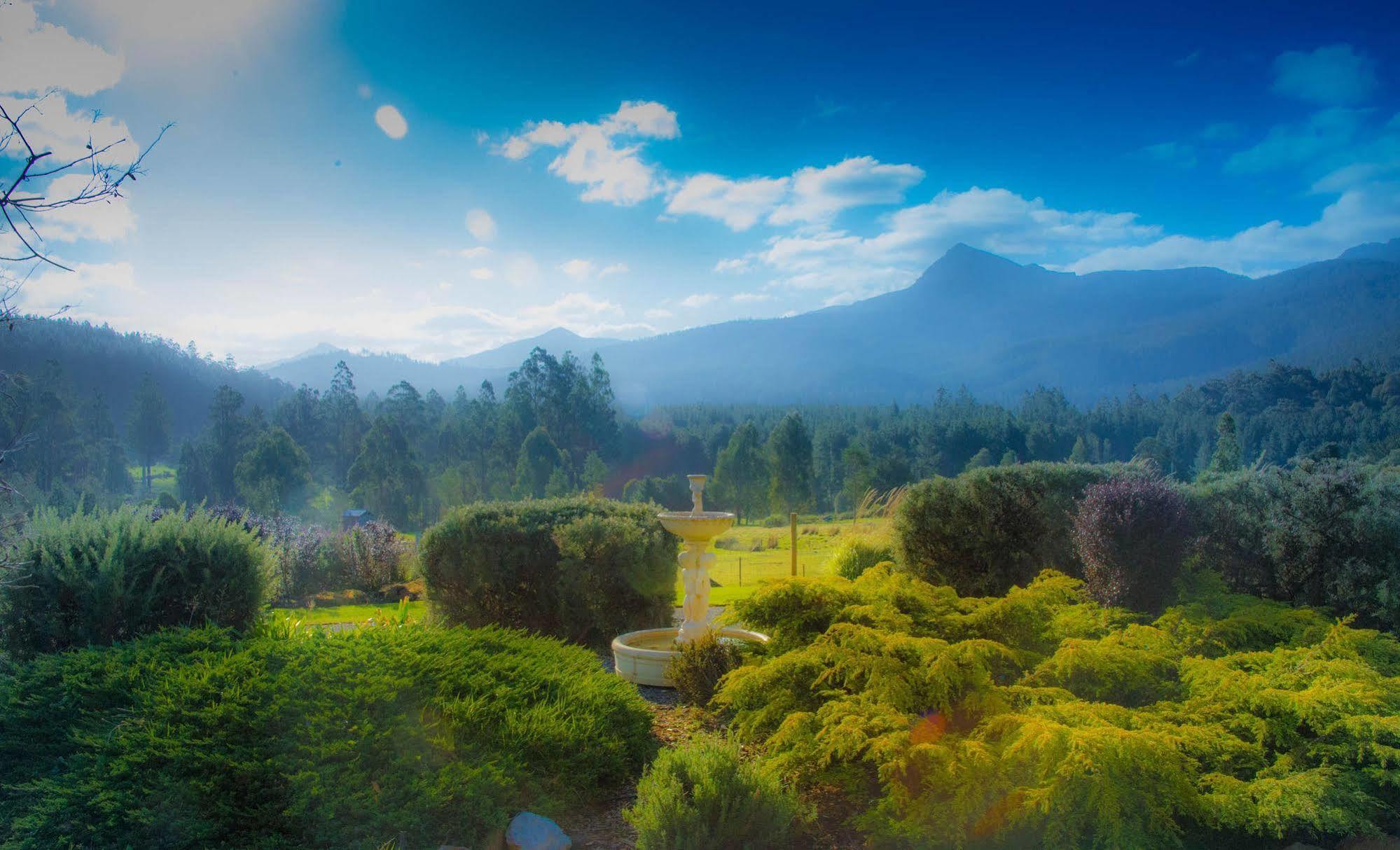 Maydena Mountain Cabins Ngoại thất bức ảnh