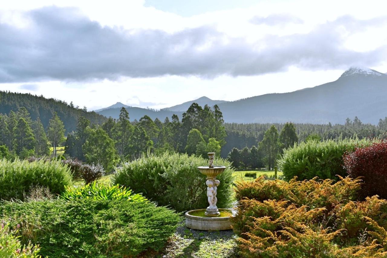 Maydena Mountain Cabins Ngoại thất bức ảnh