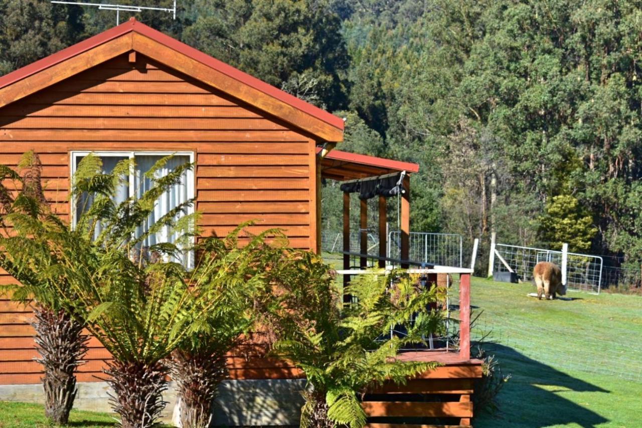 Maydena Mountain Cabins Ngoại thất bức ảnh