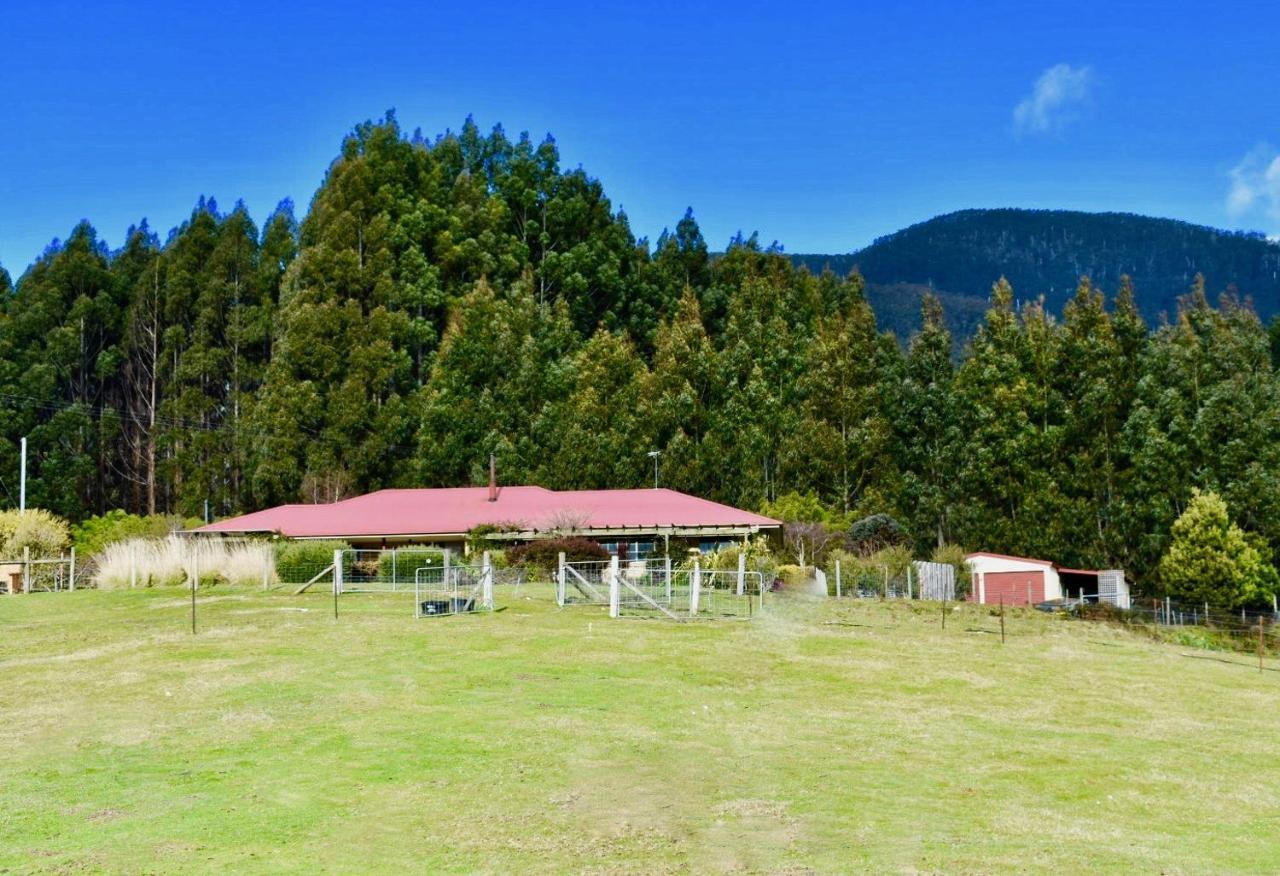 Maydena Mountain Cabins Ngoại thất bức ảnh
